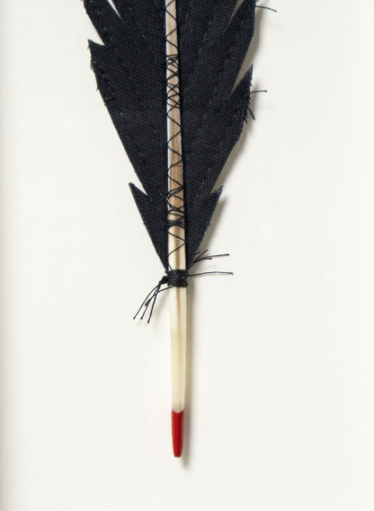 Single Huia Feather Framed