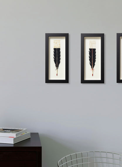 Single Huia Feather Framed