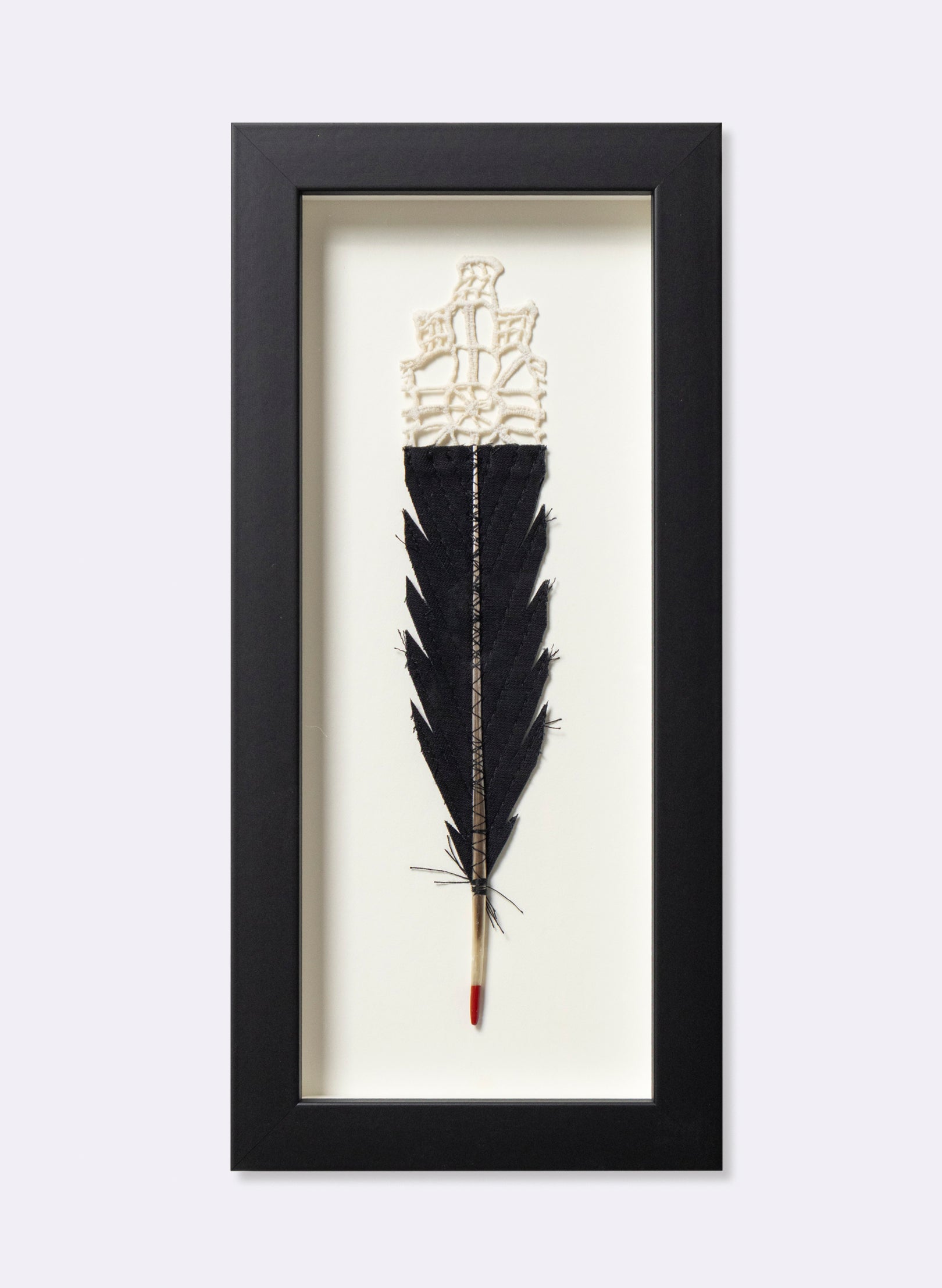 Single Huia Feather Framed