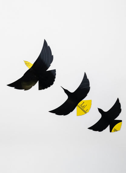 Flying Set | Thou Art Worthy