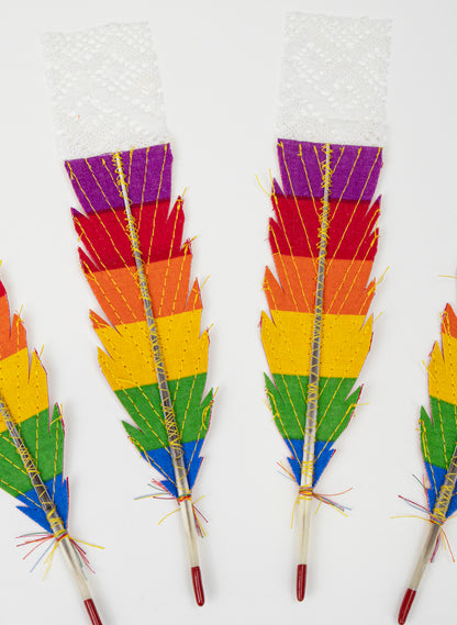 Prismatic 12 Huia Feathers Rainbow Framed