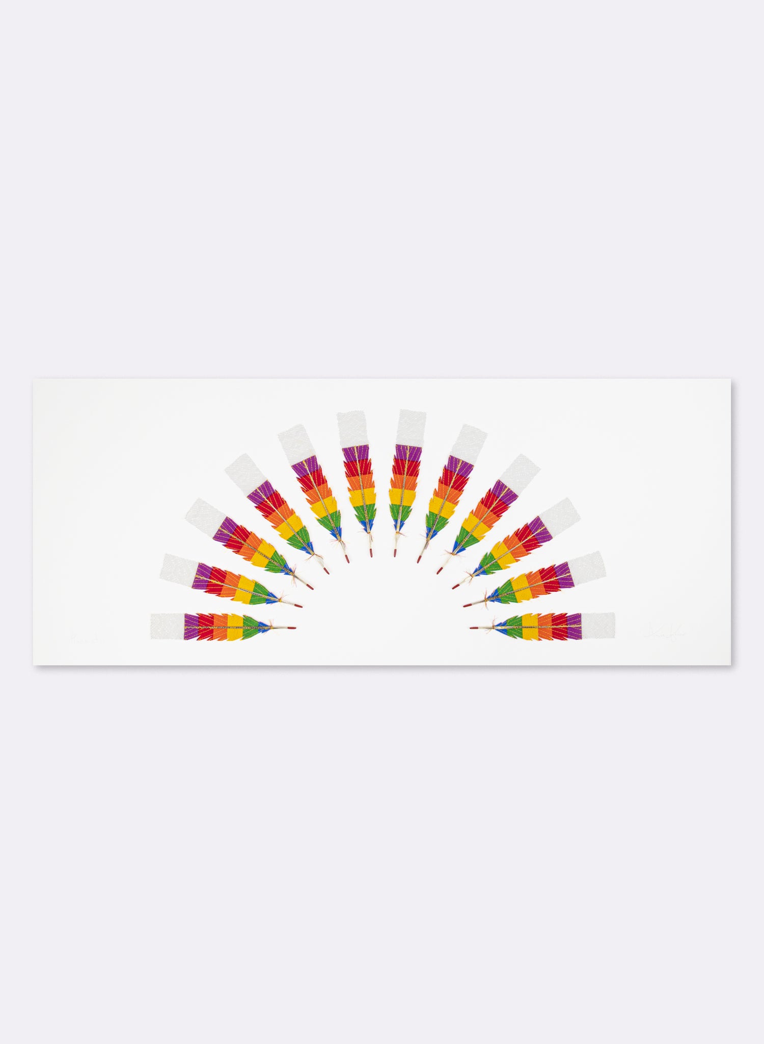 Prismatic 12 Huia Feathers Rainbow Framed