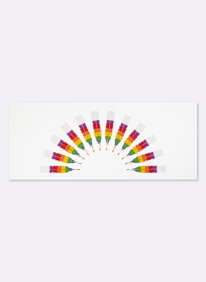 Prismatic 12 Huia Feathers Rainbow Framed