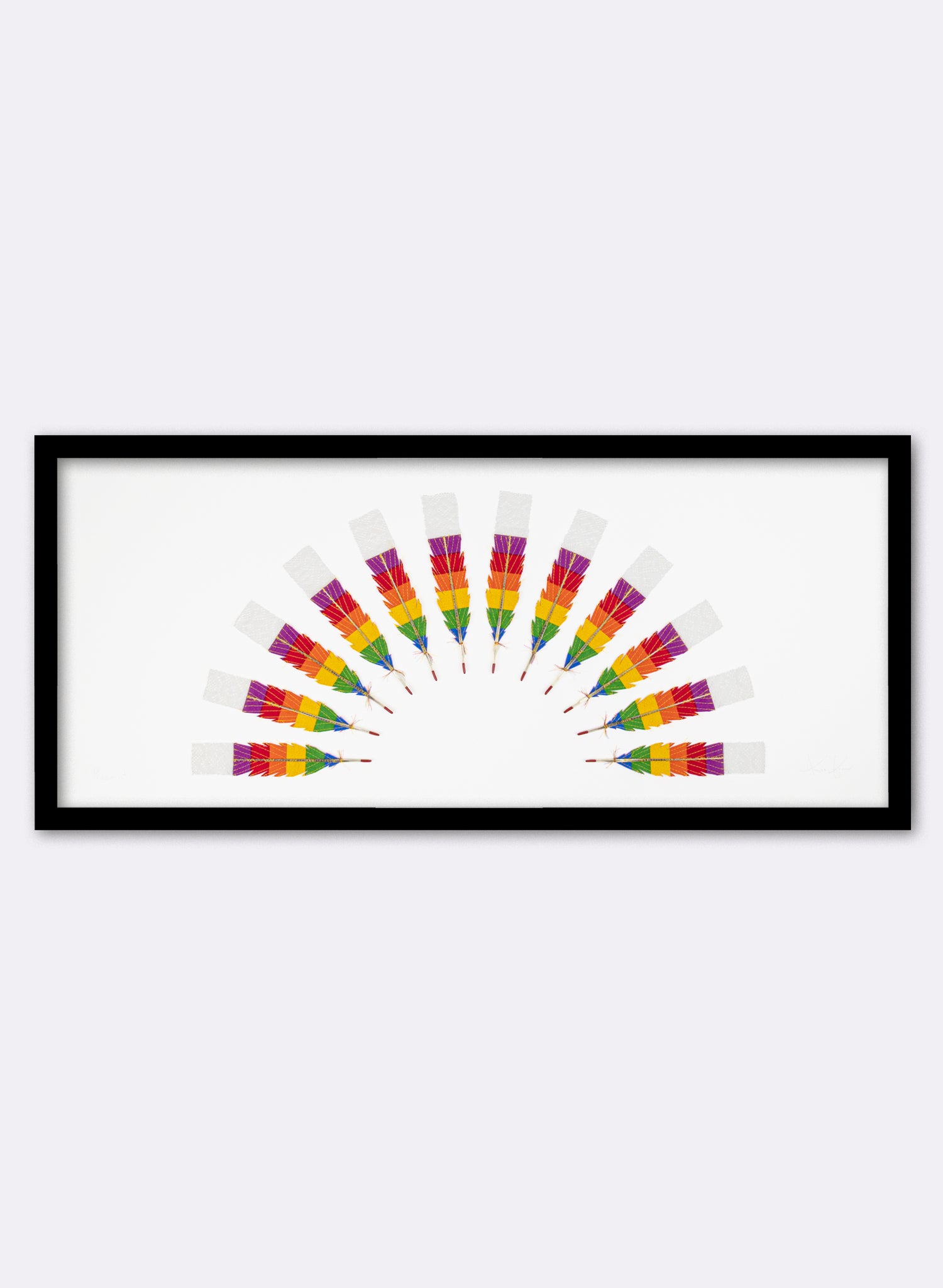 Prismatic 12 Huia Feathers Rainbow Framed