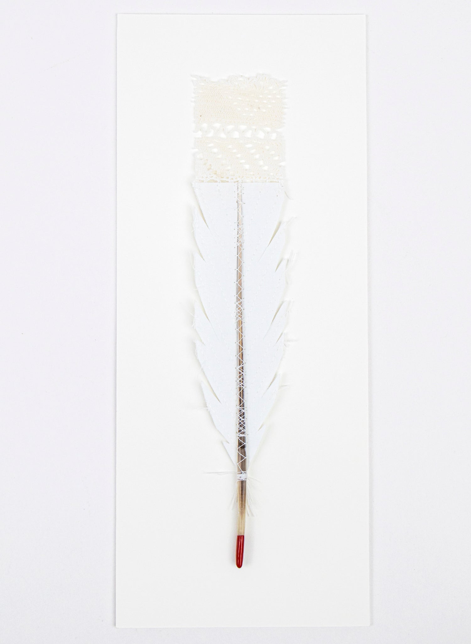 Single Huia Feather Framed