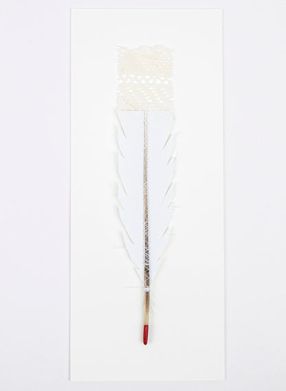 Single Huia Feather Framed