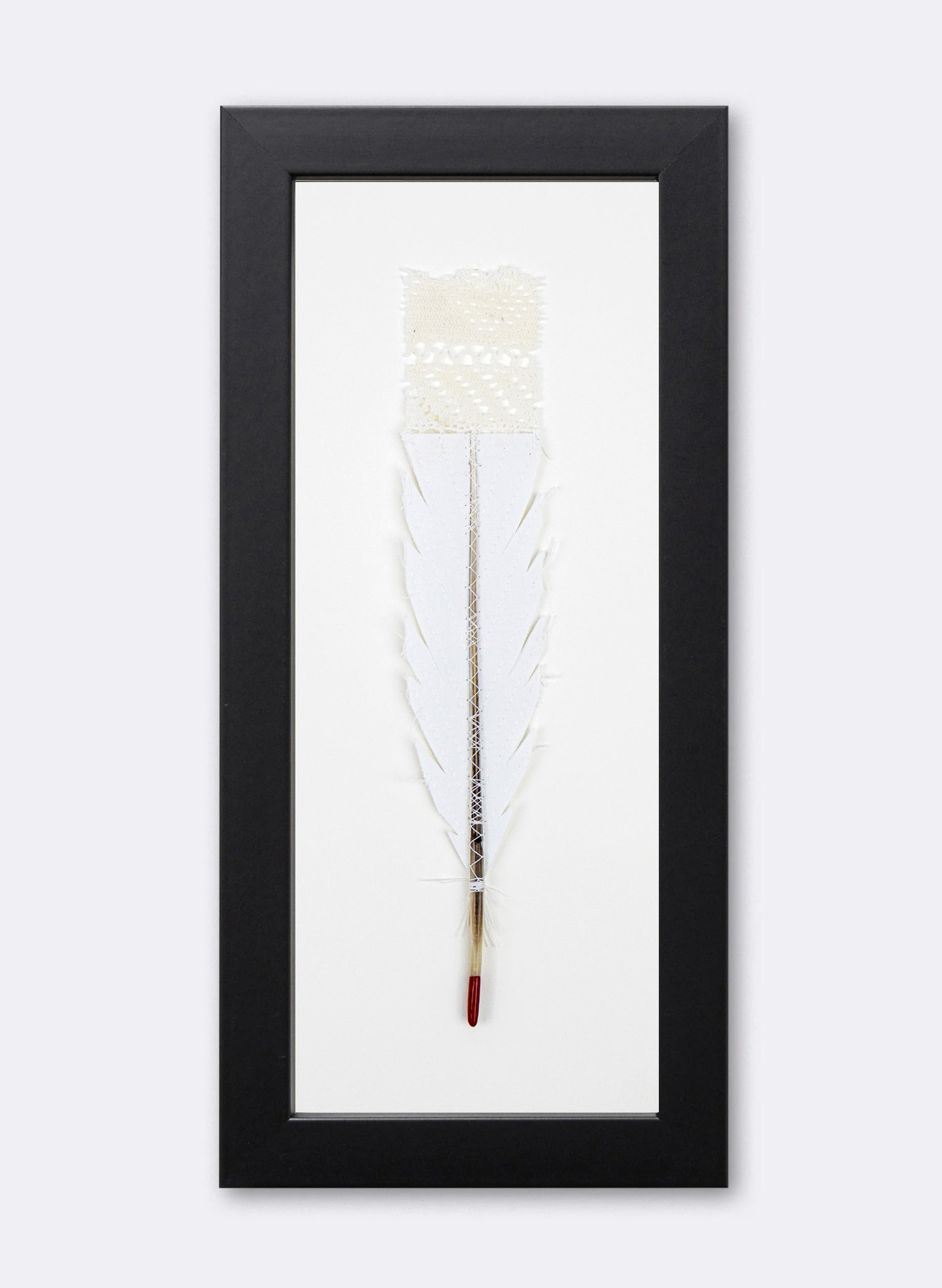 Single Huia Feather Framed
