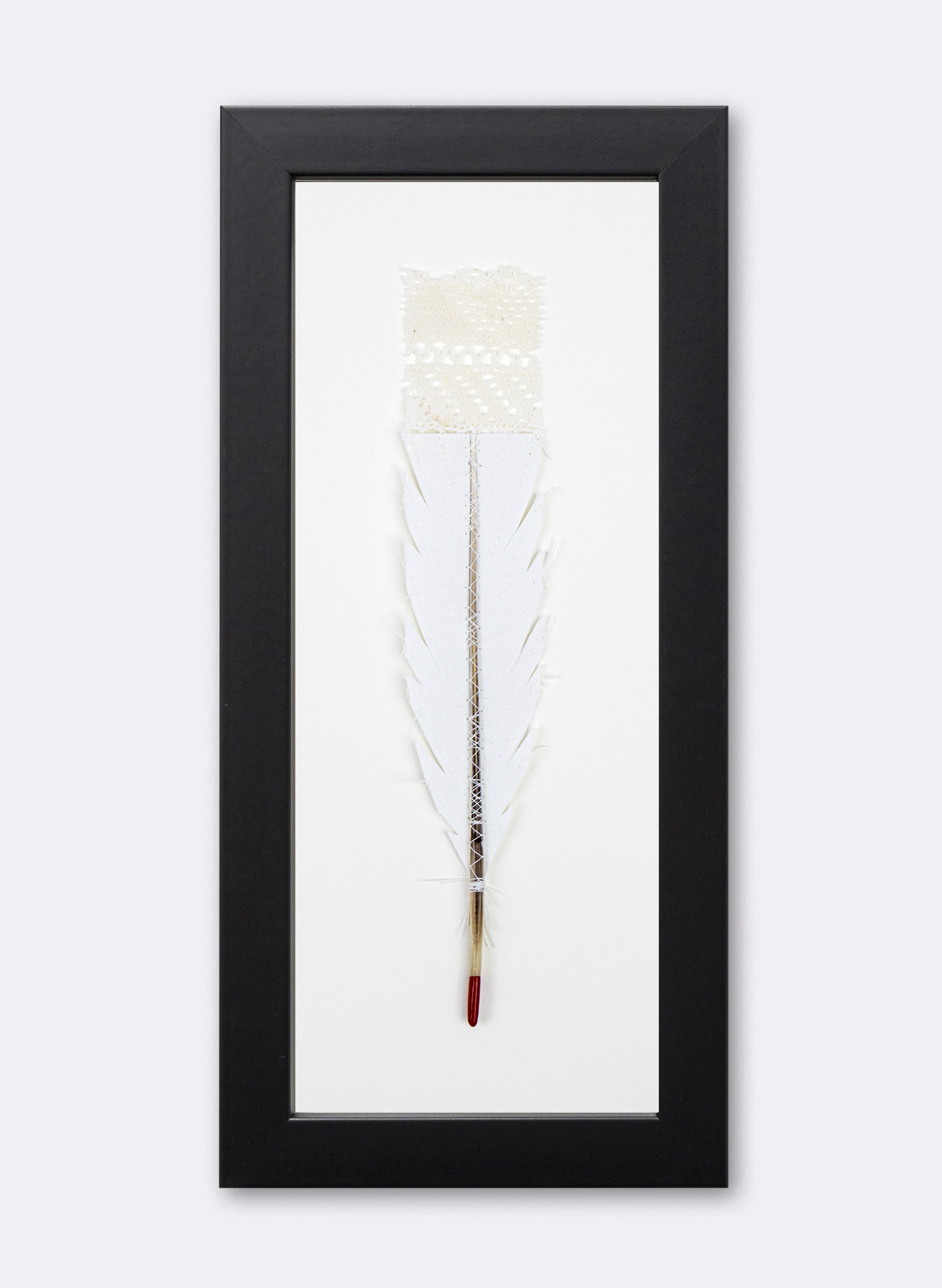 Single Huia Feather Framed