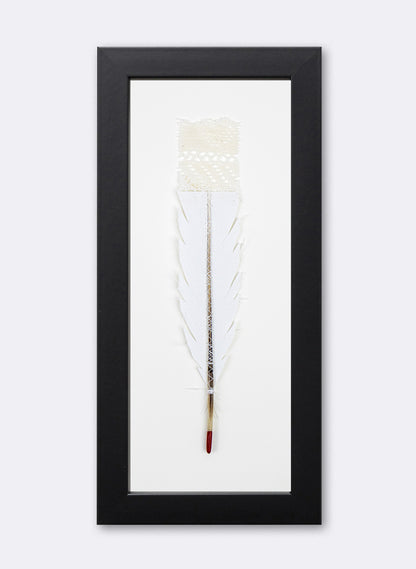 Single Huia Feather Framed