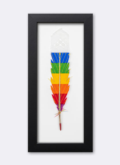 Single Huia Feather Framed