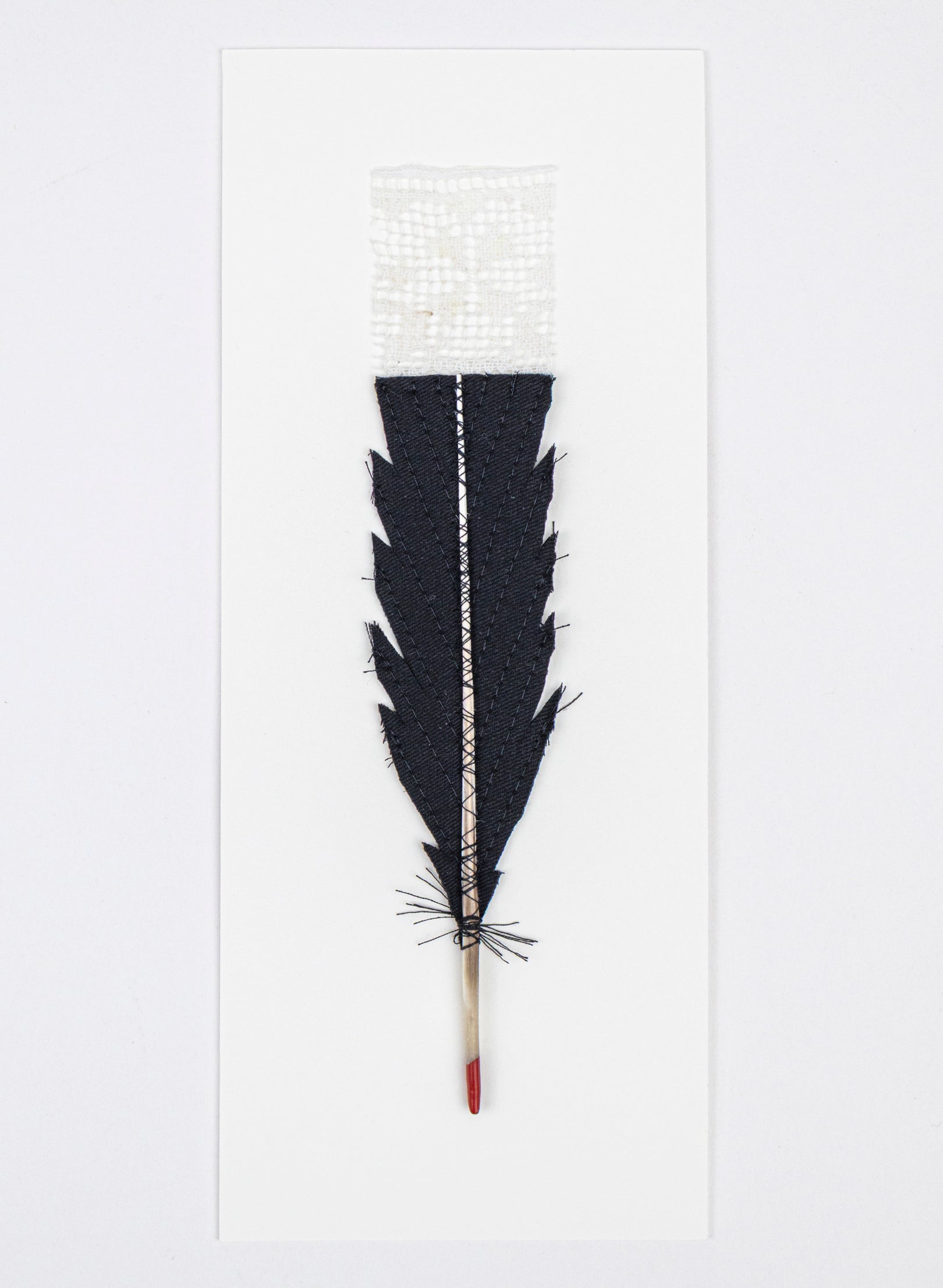 Single Huia Feather Framed