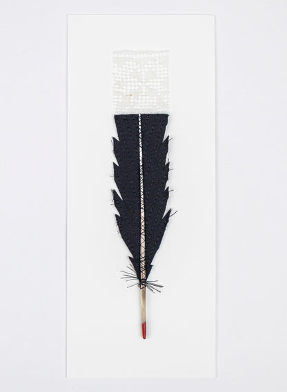 Single Huia Feather Framed