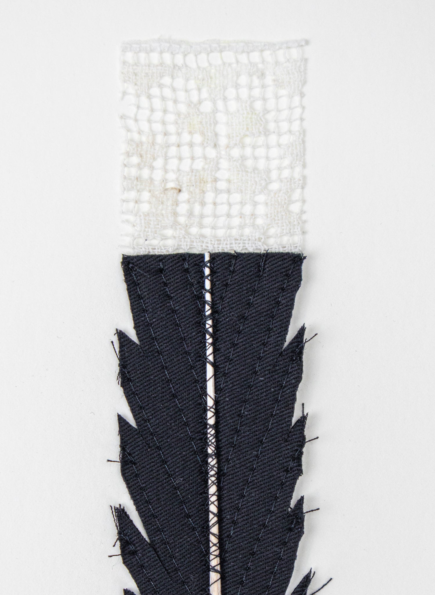 Single Huia Feather Framed