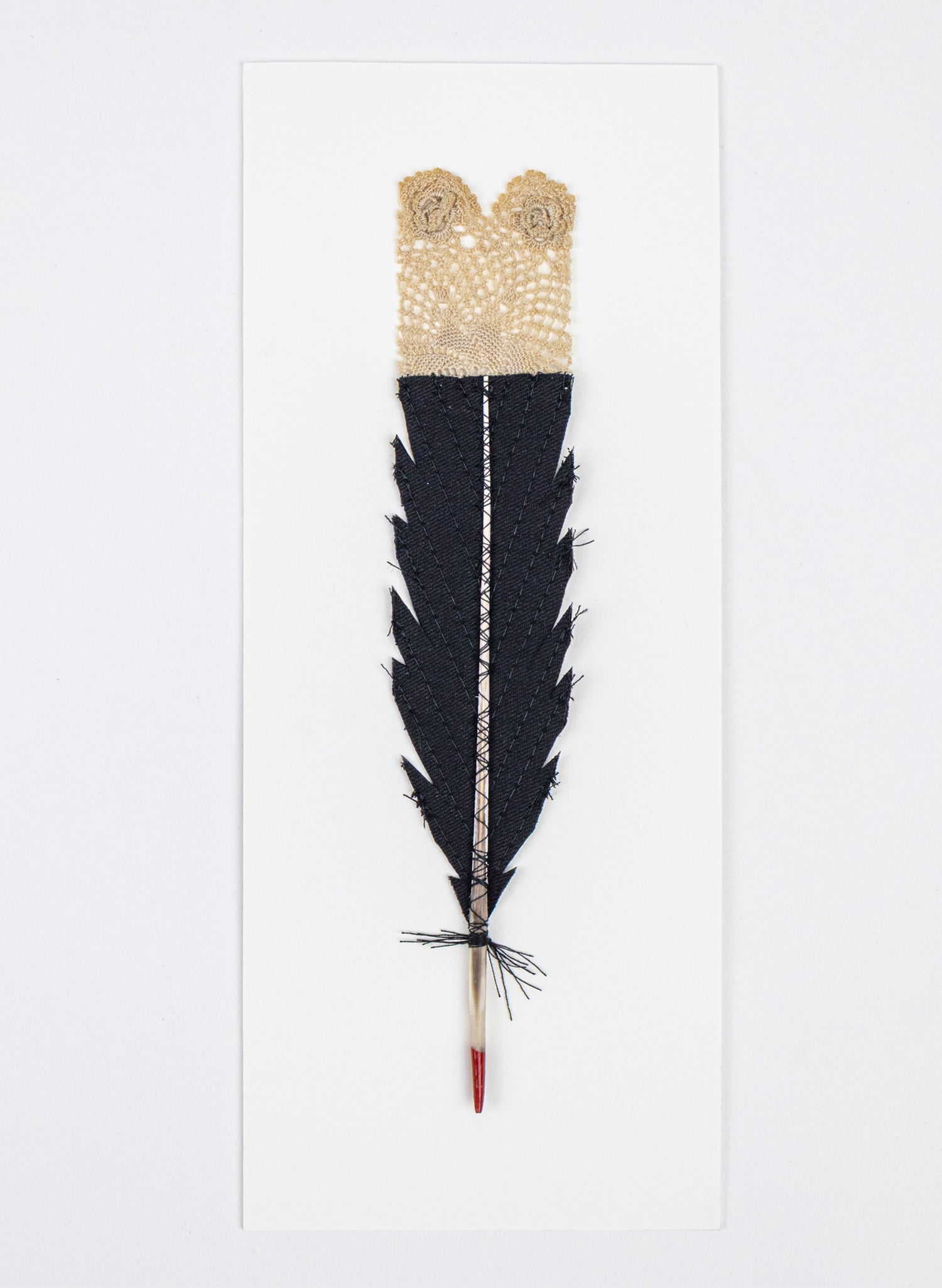 Single Huia Feather Framed