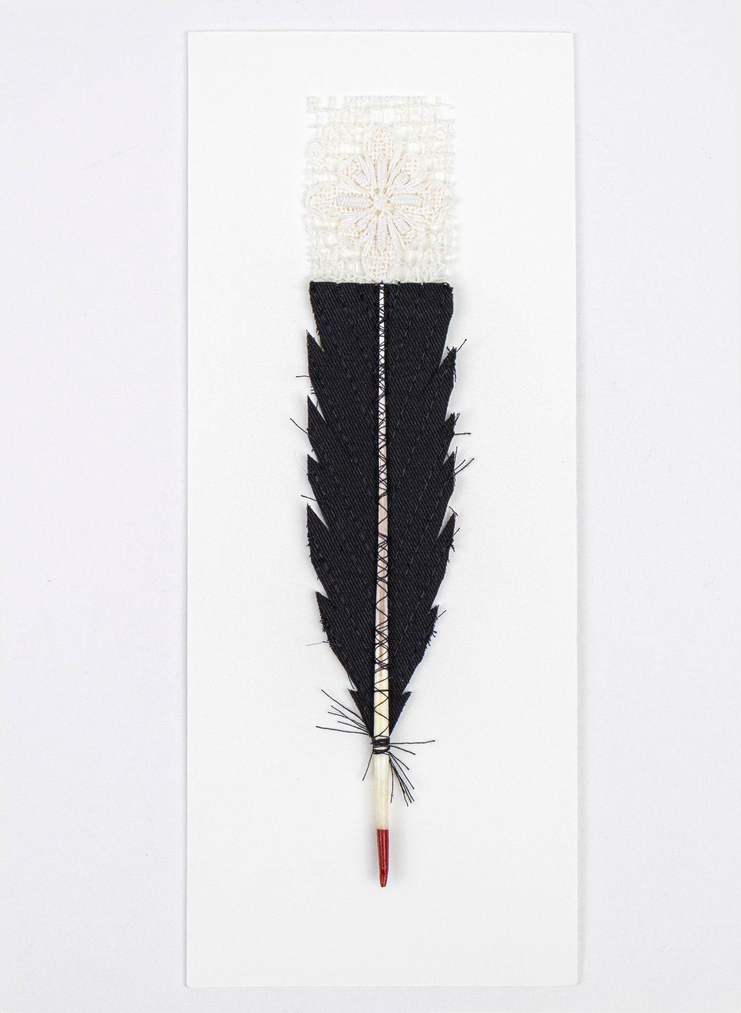 Single Huia Feather Framed