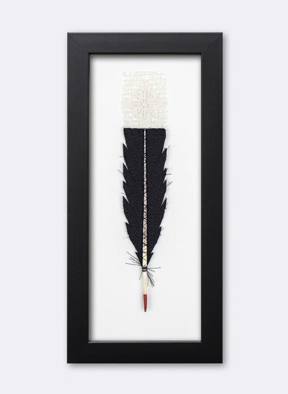 Single Huia Feather Framed
