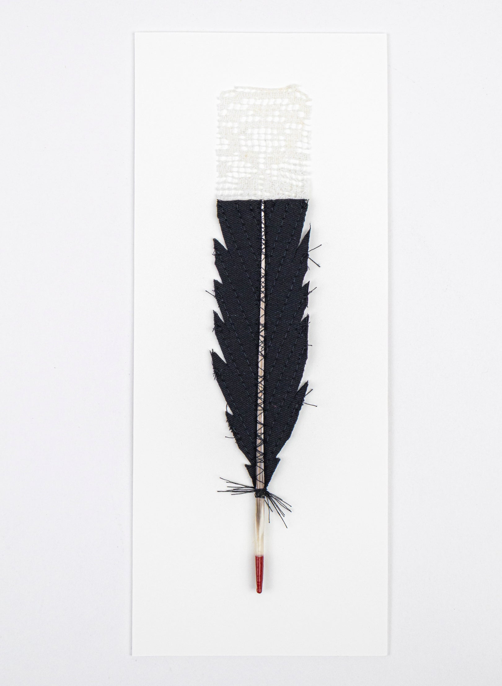 Single Huia Feather Framed