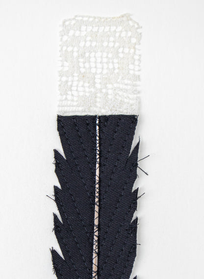 Single Huia Feather Framed