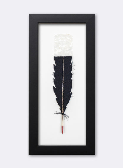 Single Huia Feather Framed