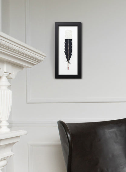 Single Huia Feather Framed