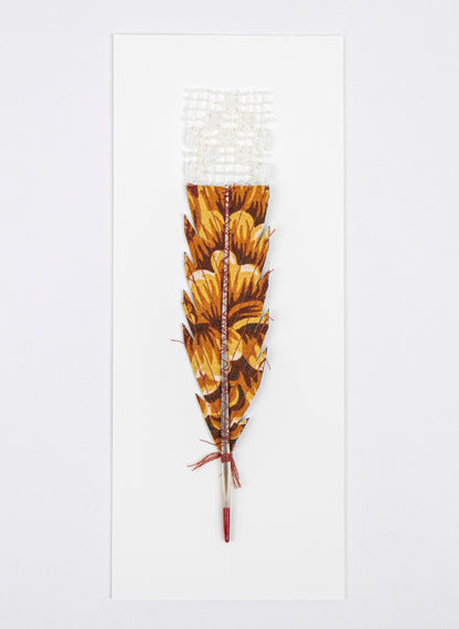 Single Huia Feather Framed