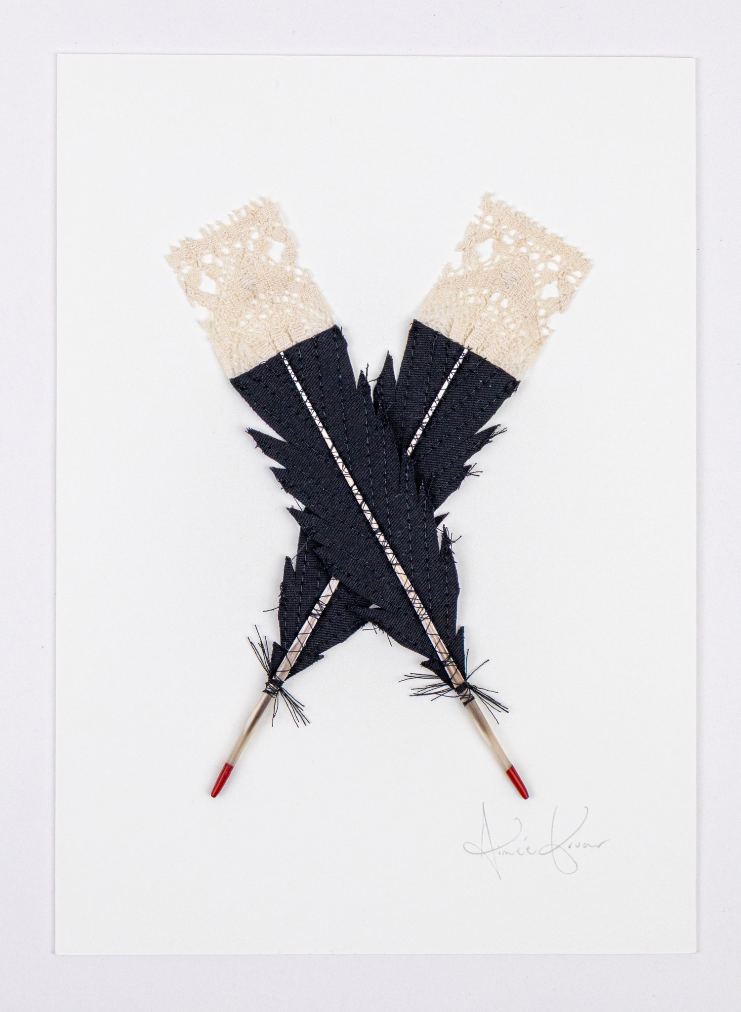 Small X Huia Feathers Framed