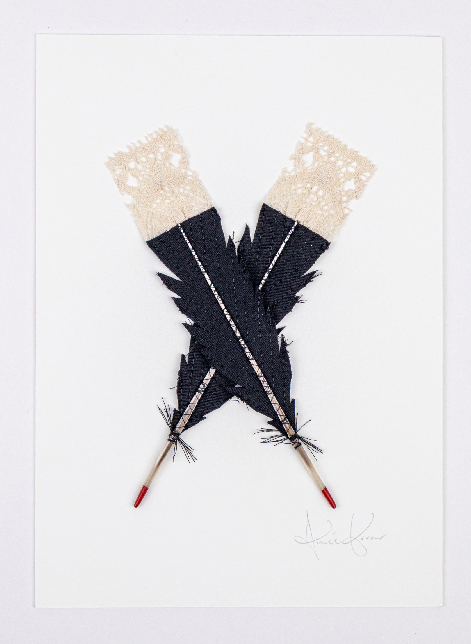 Small X Huia Feathers Framed