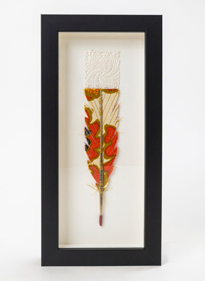 Single Huia Feather Framed