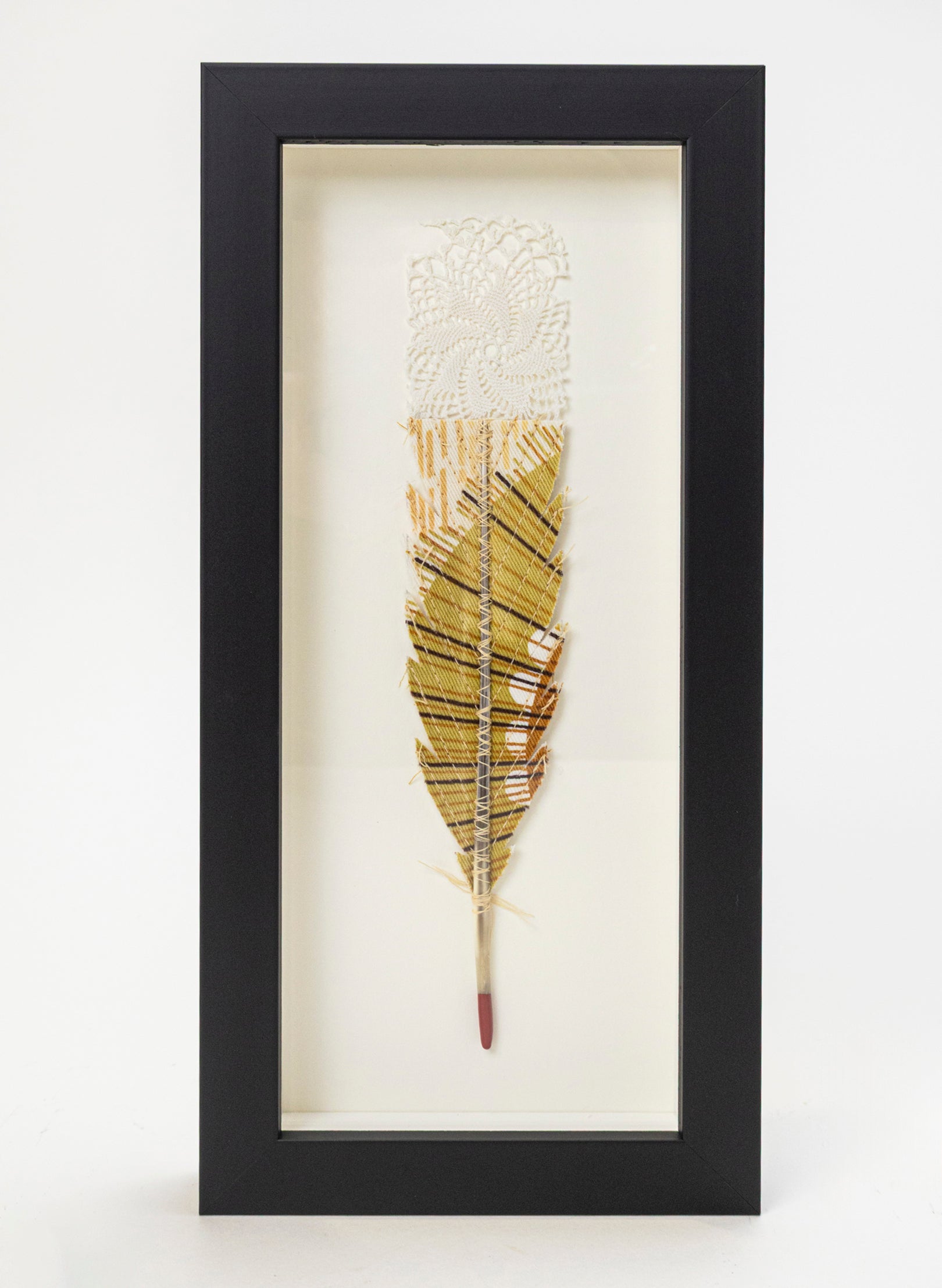 Single Huia Feather Framed