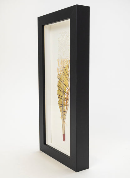 Single Huia Feather Framed