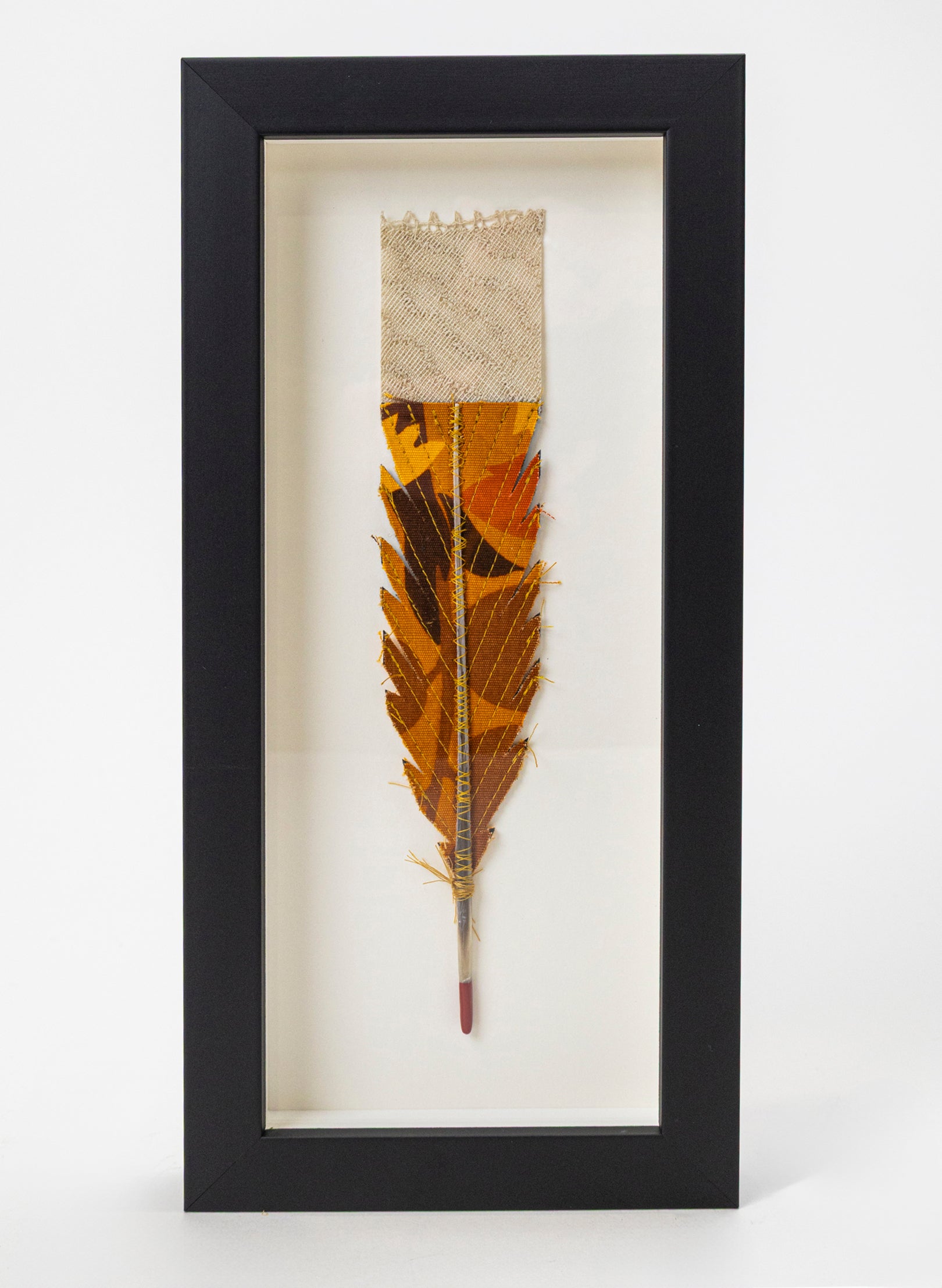 Single Huia Feather Framed