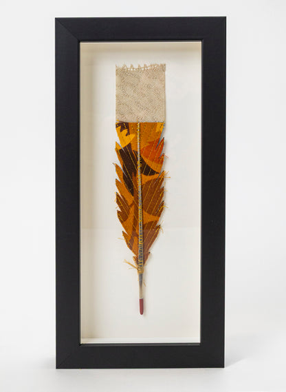 Single Huia Feather Framed
