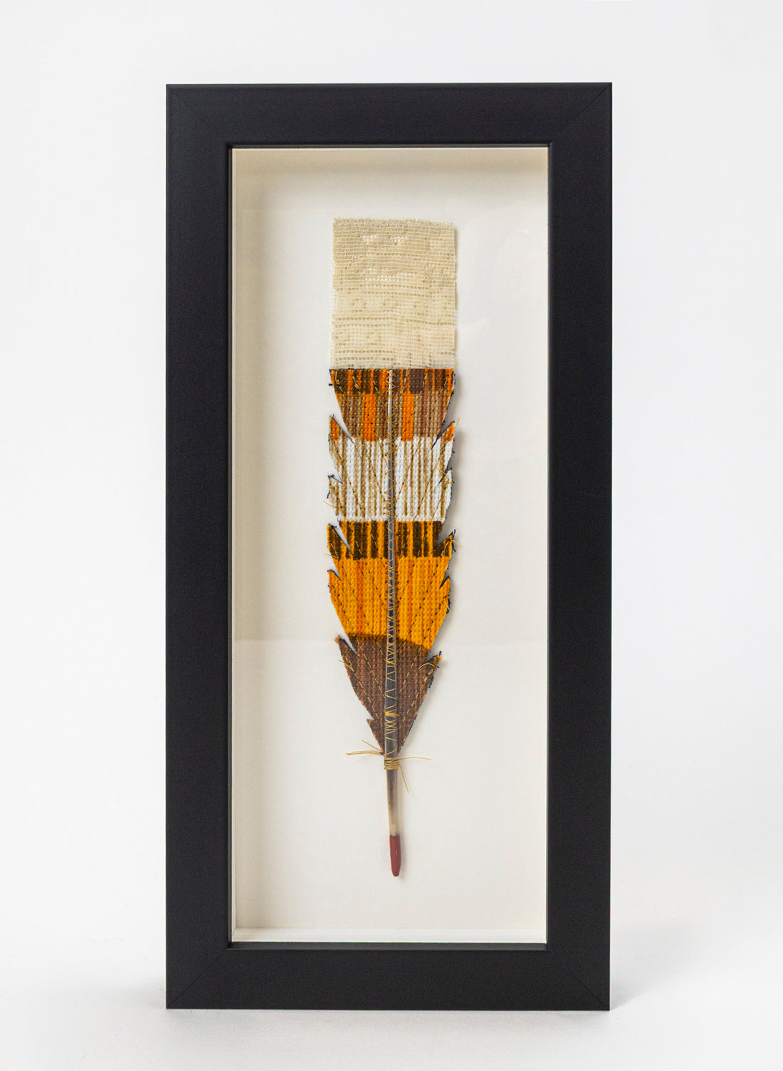 Single Huia Feather Framed