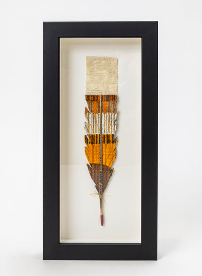 Single Huia Feather Framed