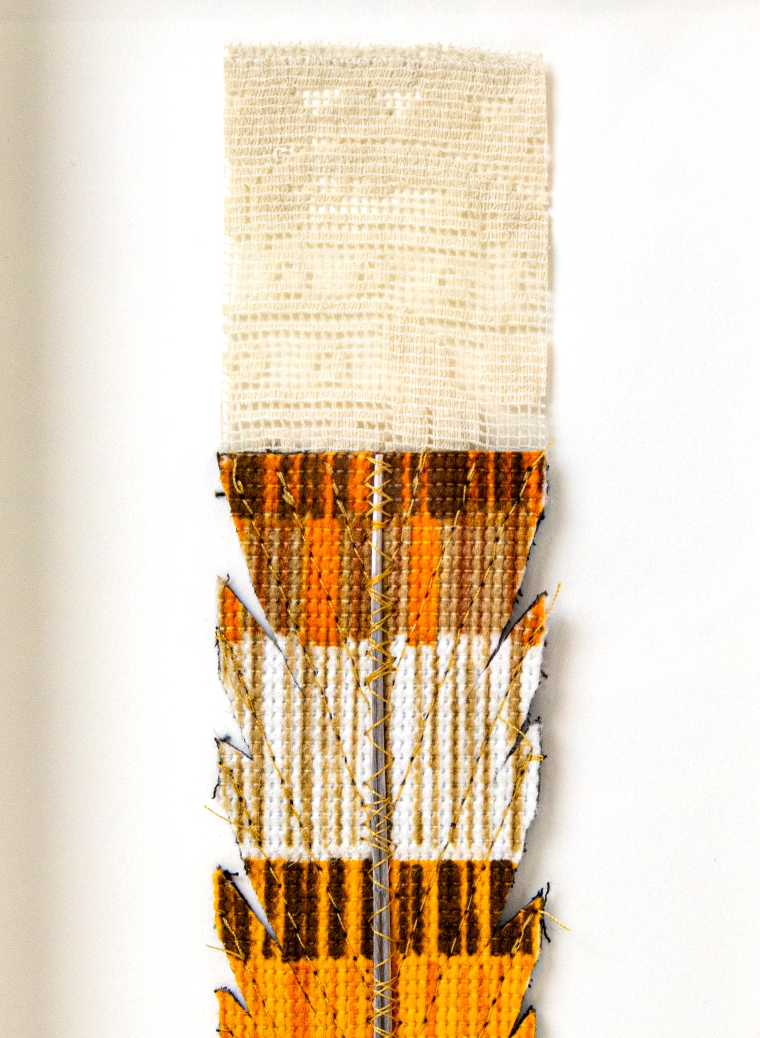 Single Huia Feather Framed