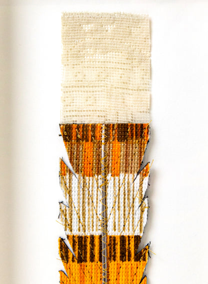 Single Huia Feather Framed