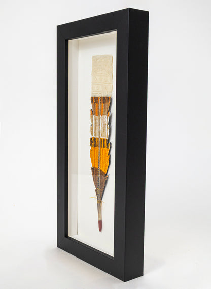 Single Huia Feather Framed
