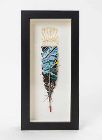 Single Huia Feather Framed