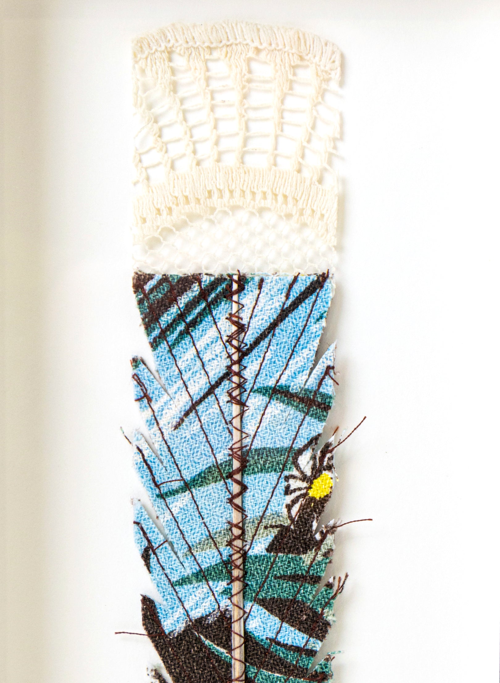Single Huia Feather Framed