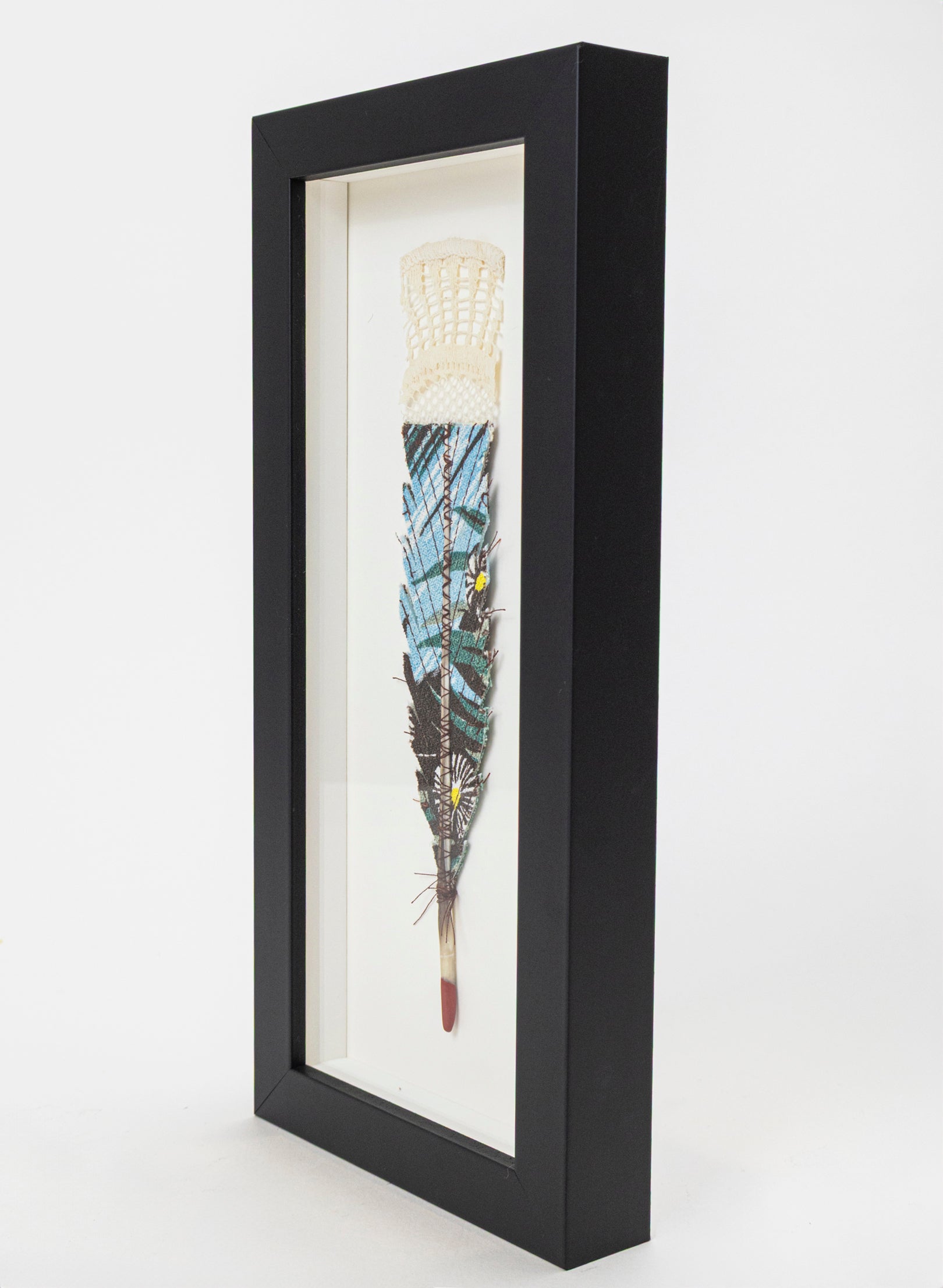 Single Huia Feather Framed