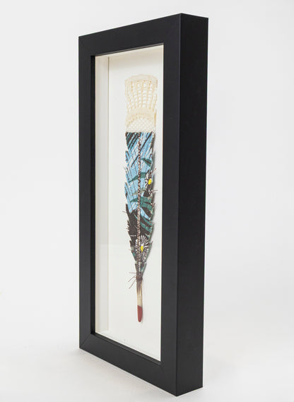 Single Huia Feather Framed