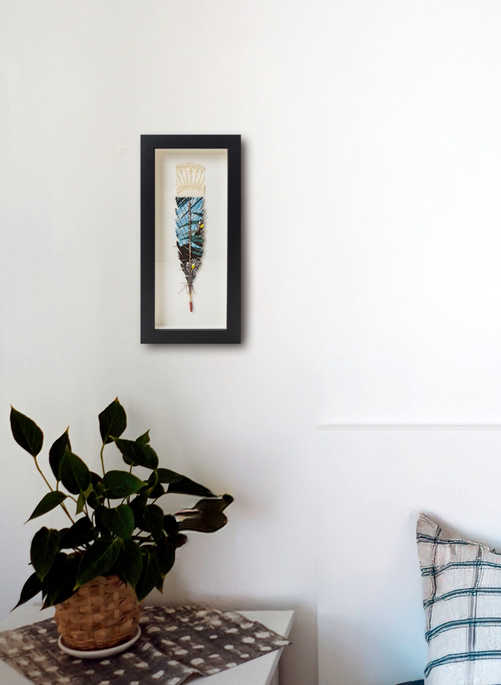 Single Huia Feather Framed