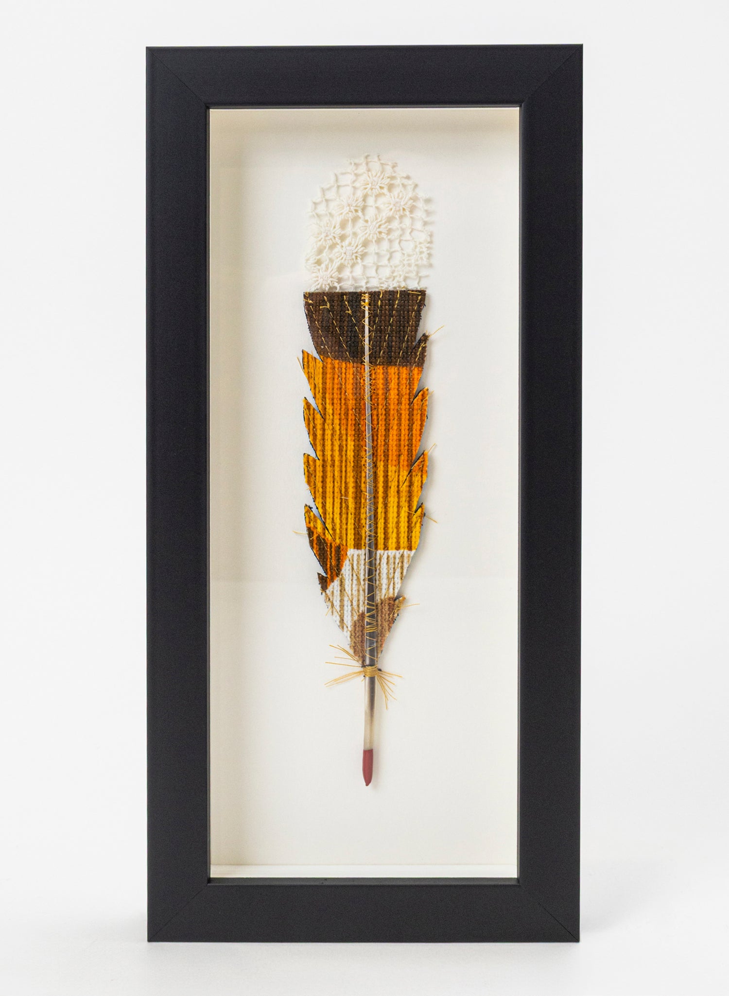 Single Huia Feather Framed