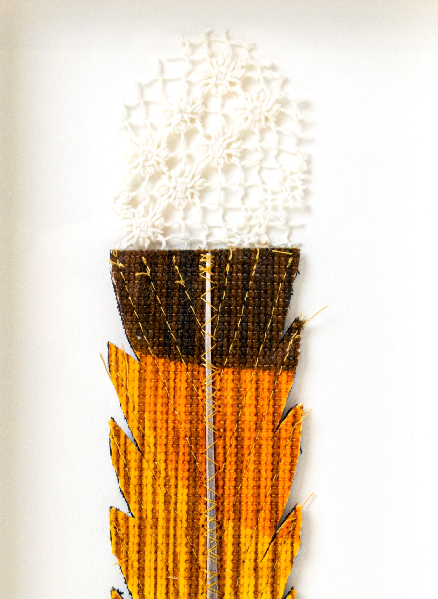 Single Huia Feather Framed