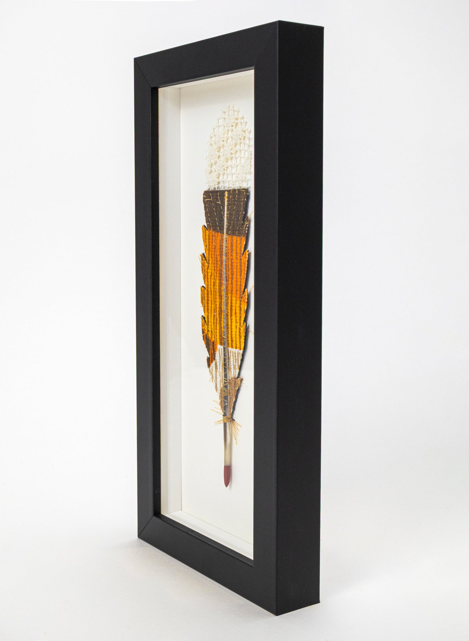 Single Huia Feather Framed