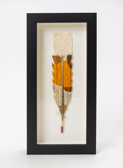 Single Huia Feather Framed