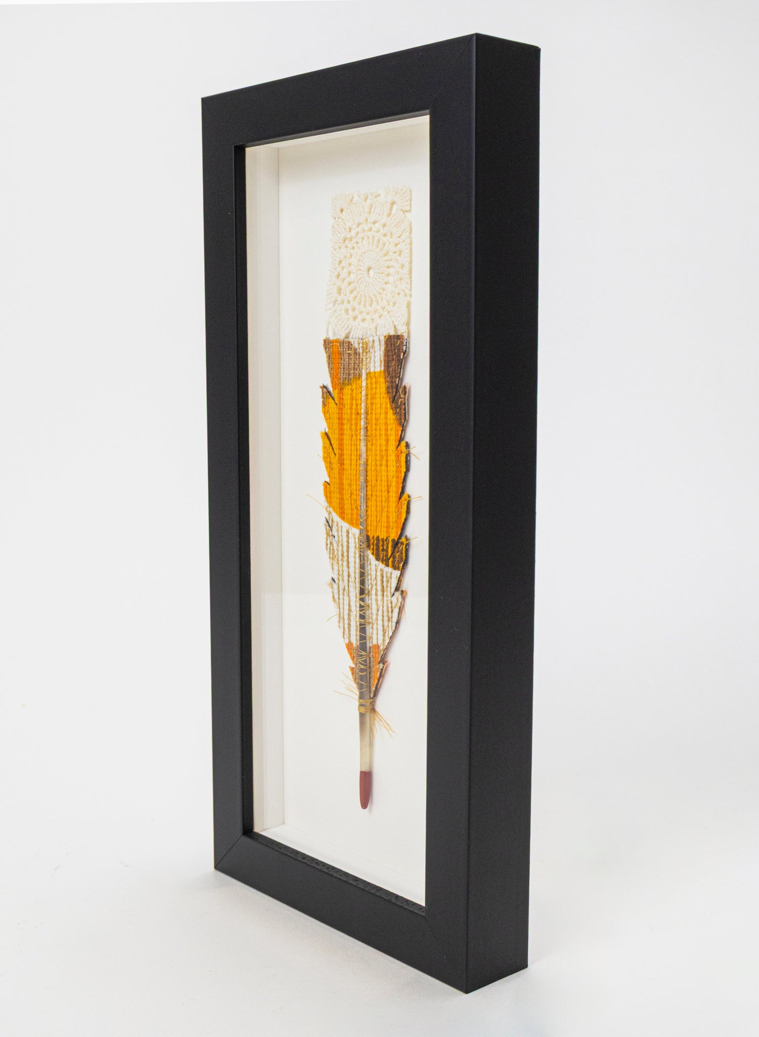 Single Huia Feather Framed