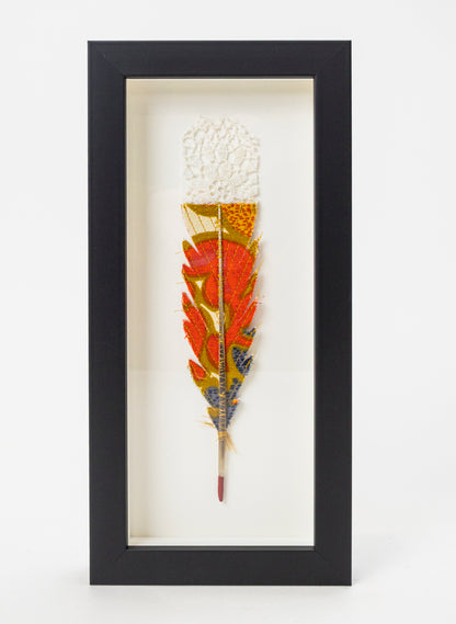 Single Huia Feather Framed