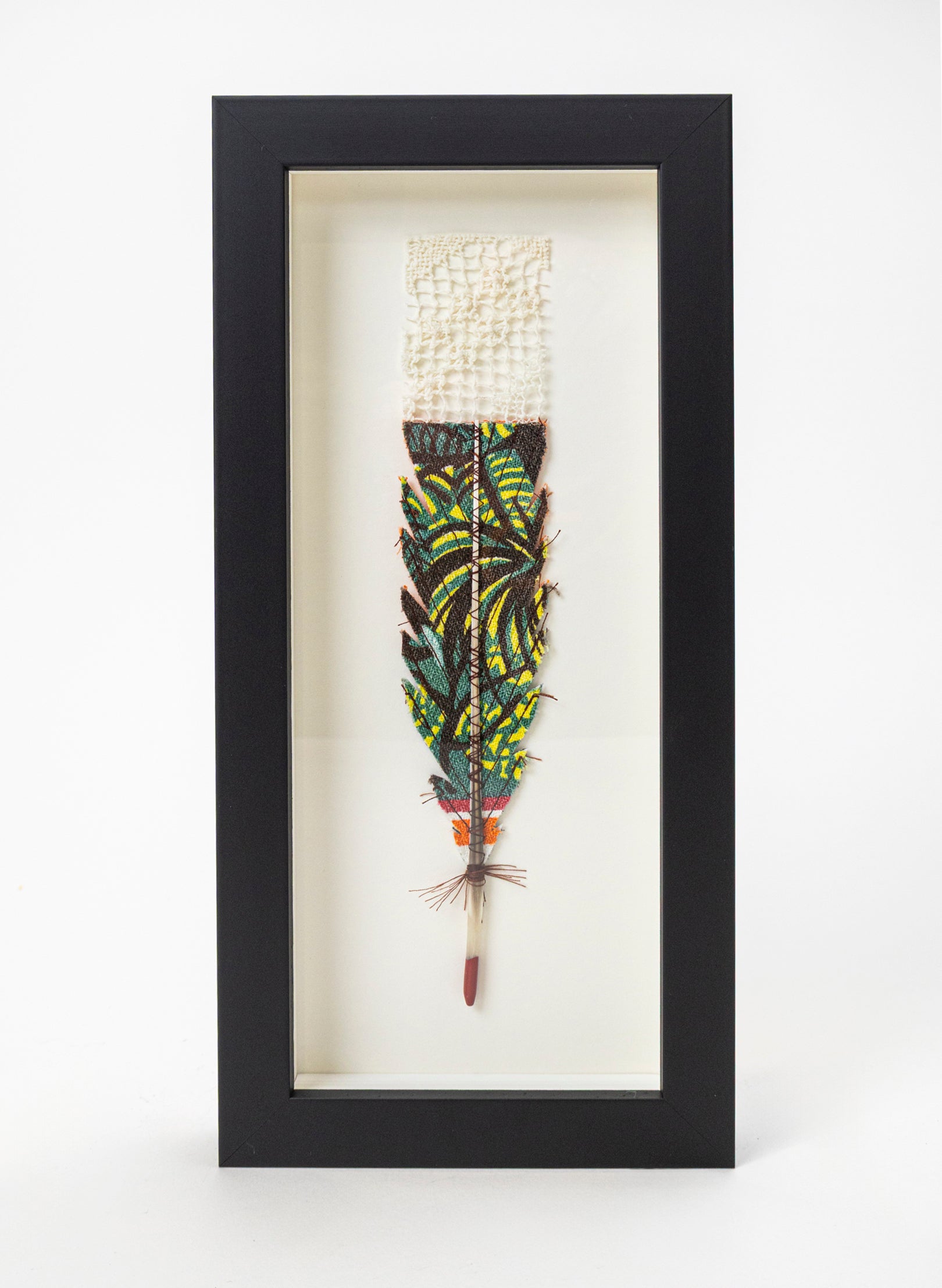 Single Huia Feather Framed