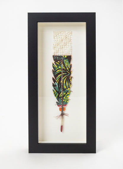 Single Huia Feather Framed